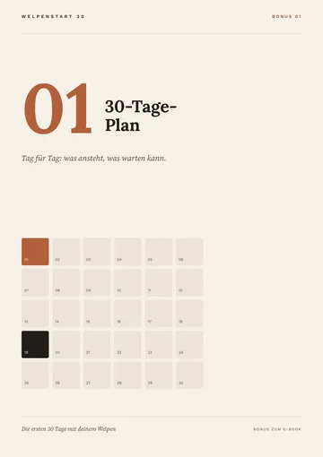 Cover Begleiter 01: 30-Tage-Plan