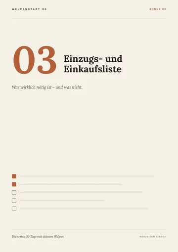 Cover Begleiter 03: Einzugs- und Einkaufsliste