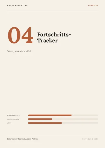 Cover Begleiter 04: Fortschritts-Tracker