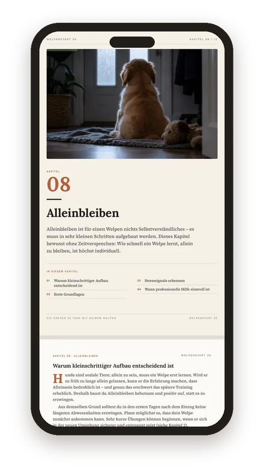 WELPENSTART 30 auf dem Smartphone: Kapitel 8 Alleinbleiben mit Foto, gezoomt und weitergescrollt