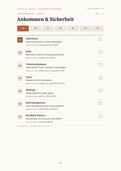 Beispielseite: Wochenübersicht Woche 1 mit Tag 1 bis 7, Fokus, Aufgabe und Beobachtung